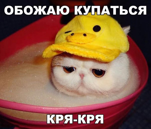 Разные картинки из сети