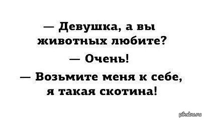 Причина всех проблем сударынь