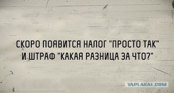 Налог на грибы и рыбалку