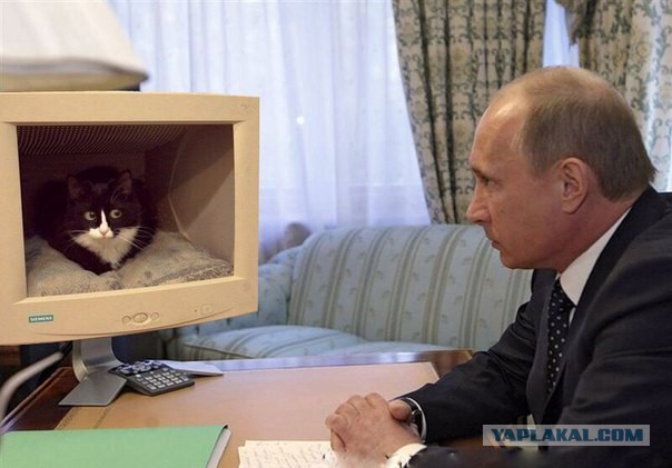 Подборка интересных и веселых картинок