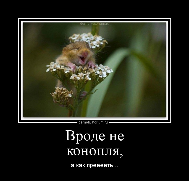 Подборка интересных и веселых картинок