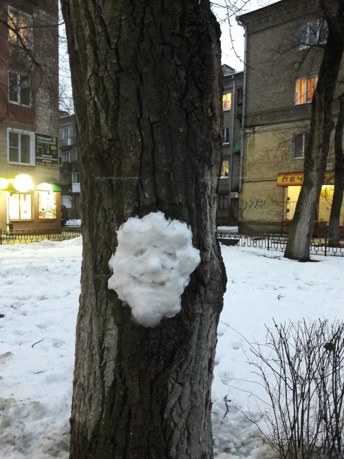 Немного снеговиков Вам !