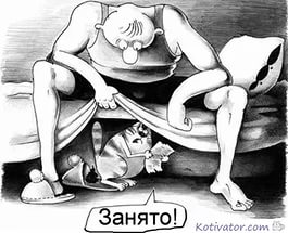 Человек! А ну, дай мне эту вкусняху