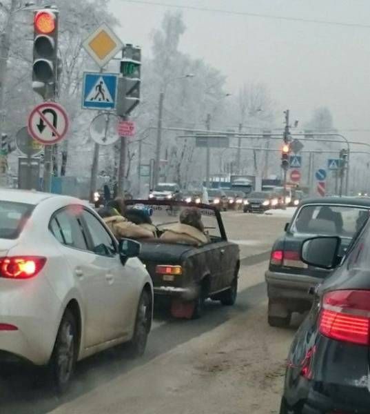 Подборка безудержного веселья