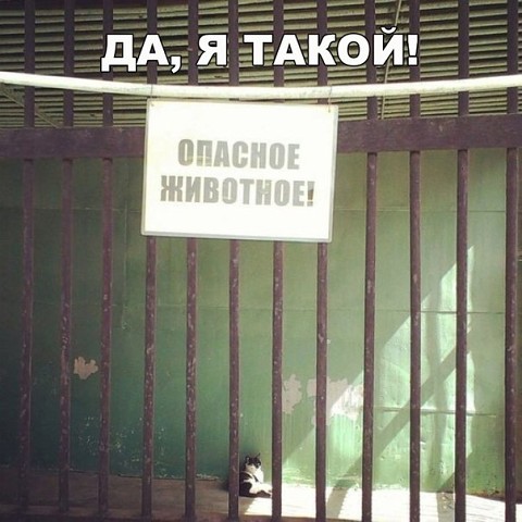 Подборка интересных и веселых картинок