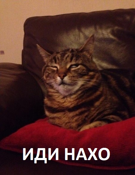 Синхрон