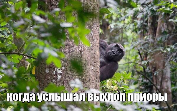 Подборка интересных и веселых картинок