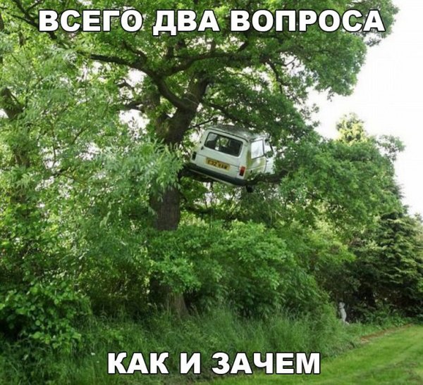 Подборка интересных и веселых картинок