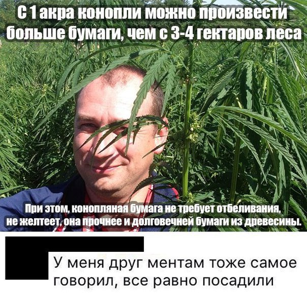 Картинки по-приколу
