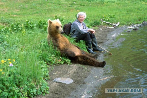 В гостях у камчатских медвежат (фото)