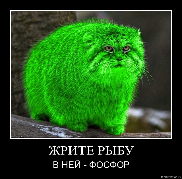 Мамуля с работы идёт
