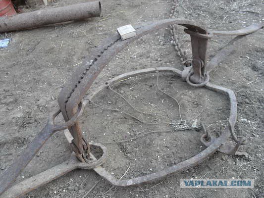 Мышеловка против воровки