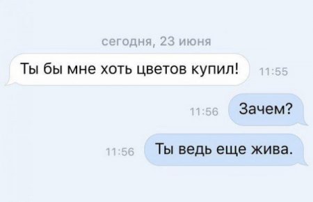 Немного картинок в это воскресенье