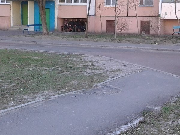 Лента прикольных картинок