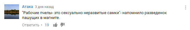 Прикольные комментарии и высказывания из Сети