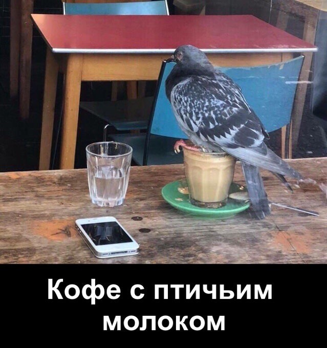 "Чай, кофе?"