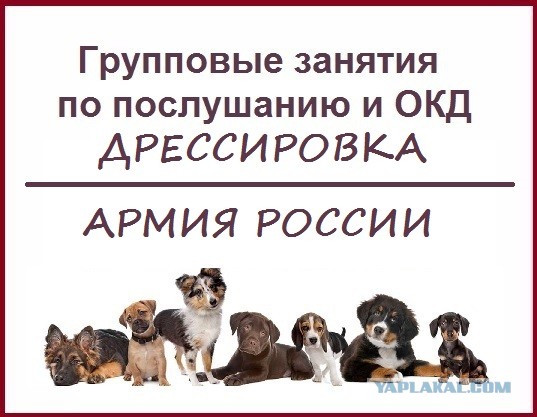 Дембельский альбом ВМФ 1985-1988