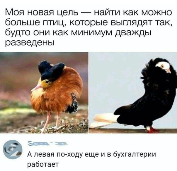 Бредзона 08.04.2020