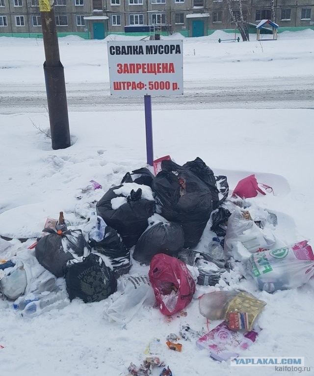 Россия изнутри
