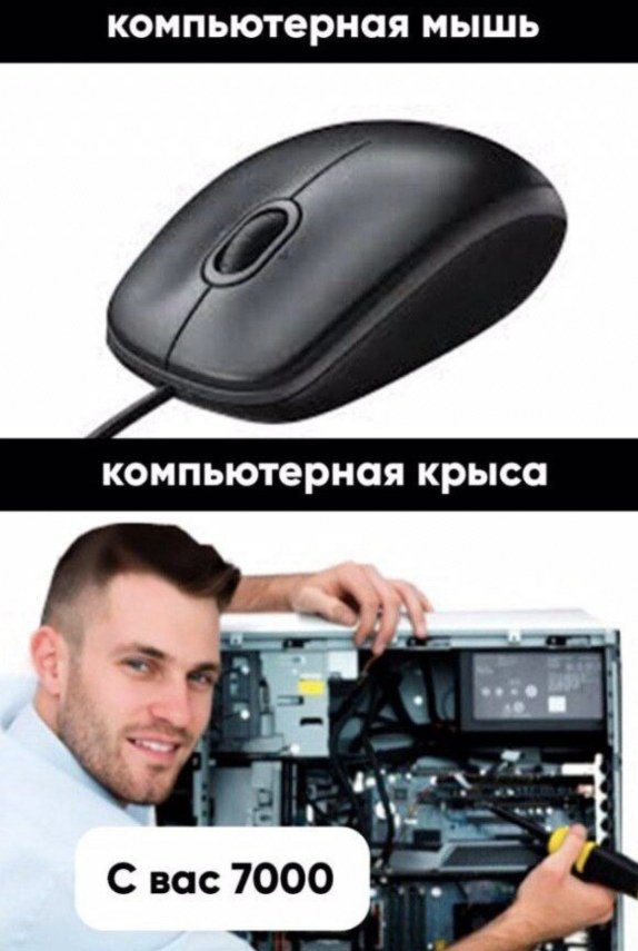 Дурдом 5