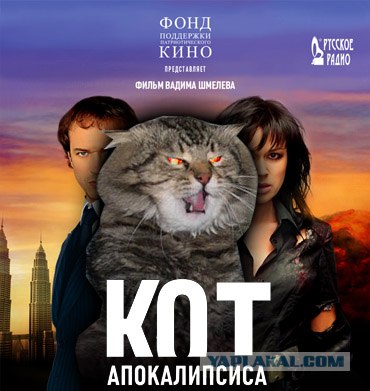 Злой кот