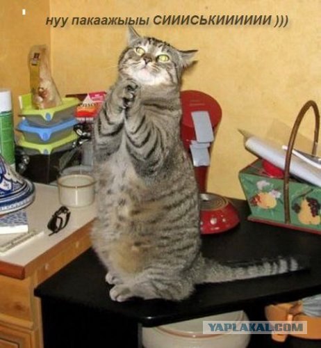 Игра: Ассоциации на ник пользователей ЯПлакалъ