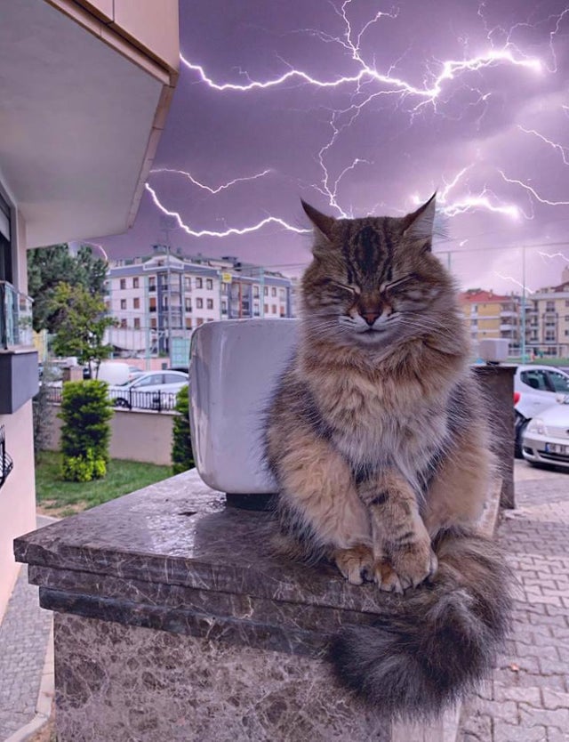 О людях неприятных