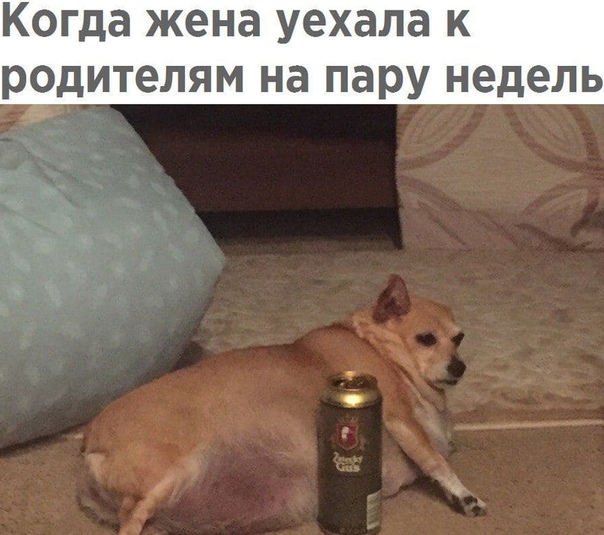 Немного картинок для настроения 05.11.20
