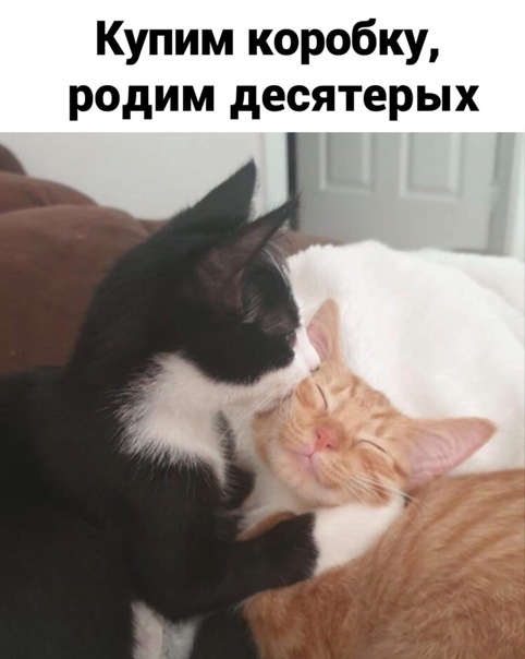 Картинки и мемы для настроения 007