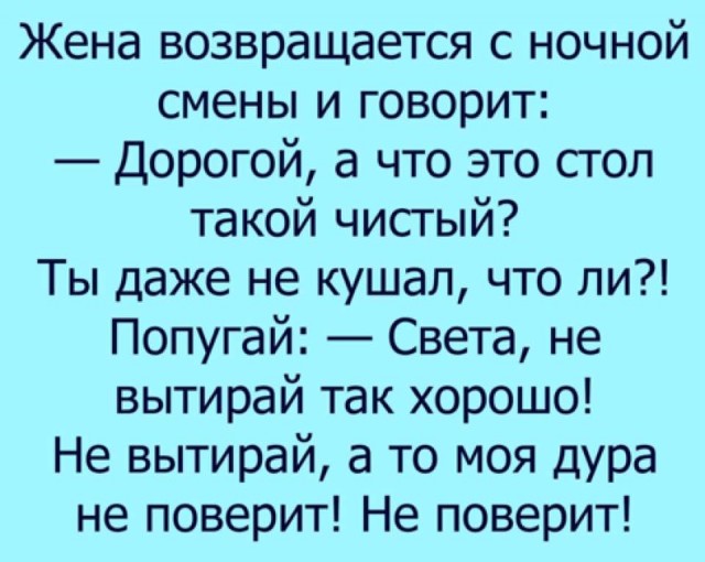 15116692.jpg