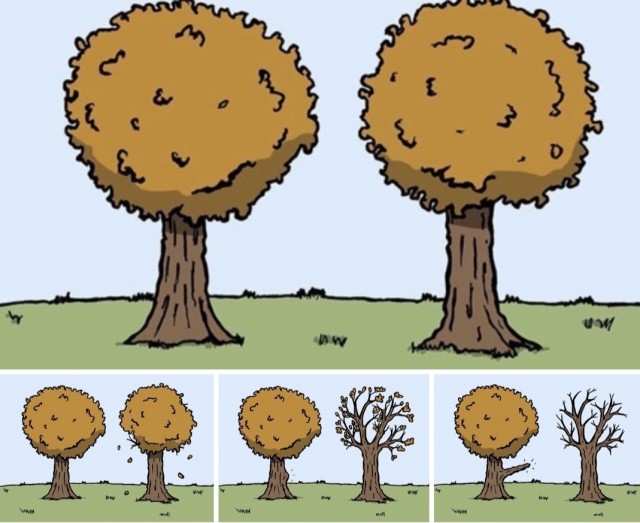 Картинки и мемы для настроения 004