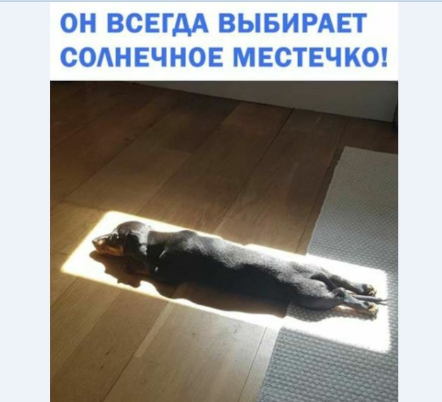 Картинки и мемы для настроения 015