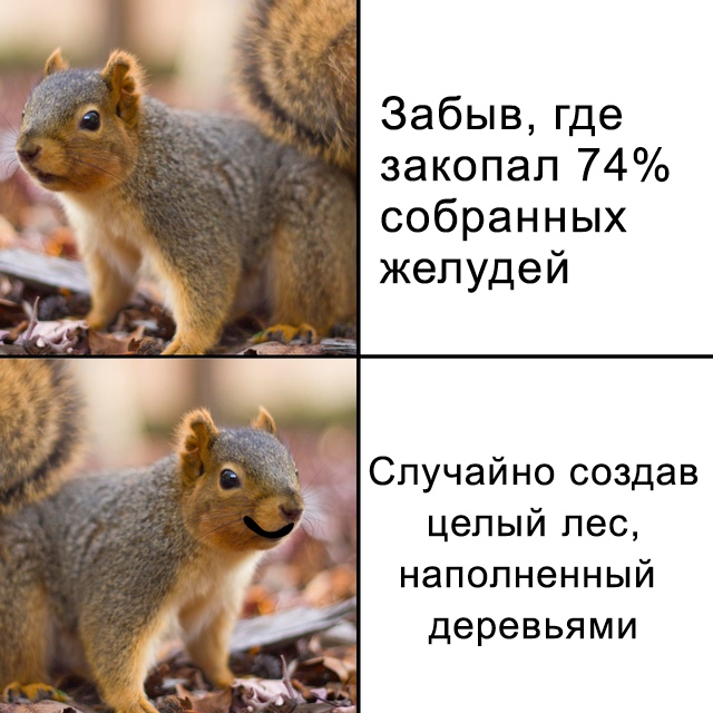 Картинки и мемы для настроения 018