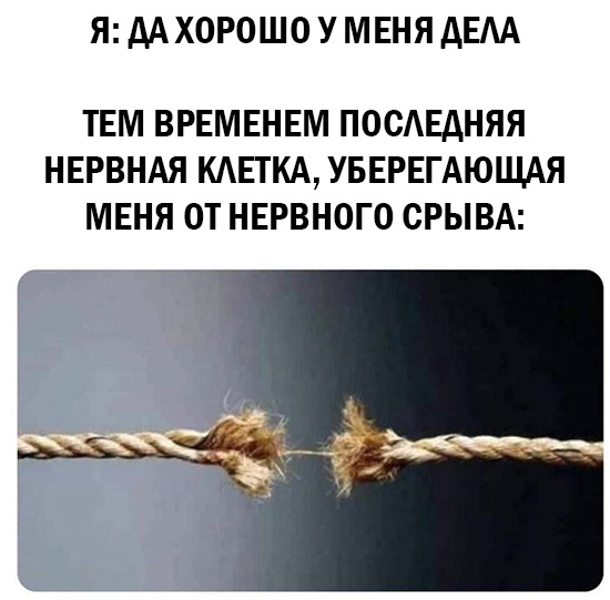 Весёлый полтишок 1.04