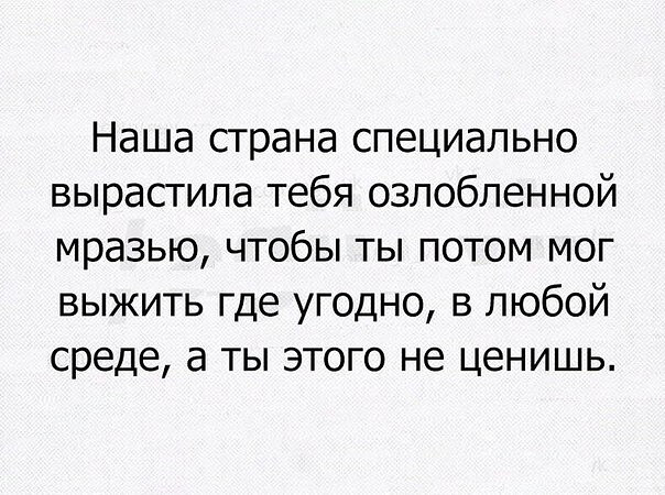 Фотки и картинки: юморные и красивые, забавные и милые 12.04.21