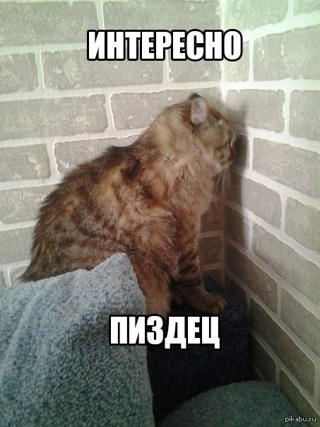 Падение китайской ракеты в прямом эфире