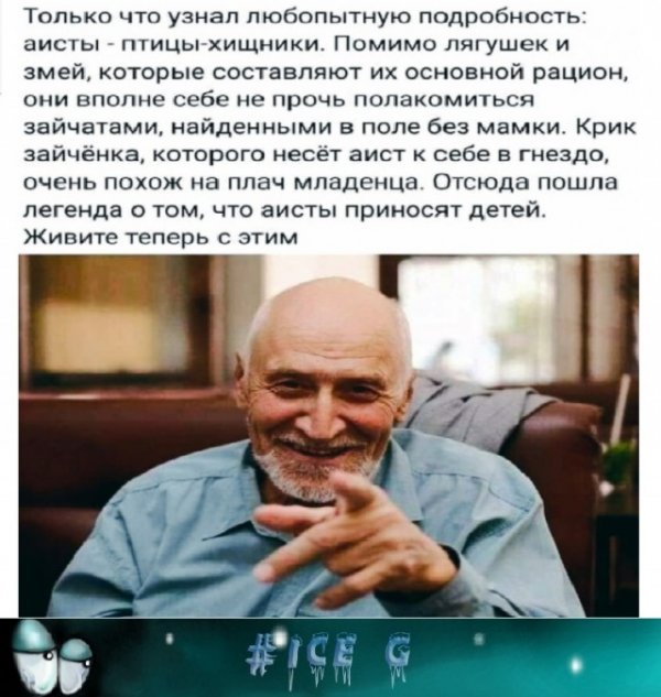 Прикольные и просто красивые картинки 11.08.2021