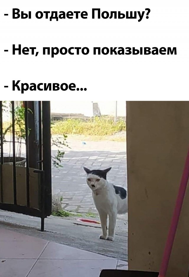 Пока одни ноют, другие берут и делают