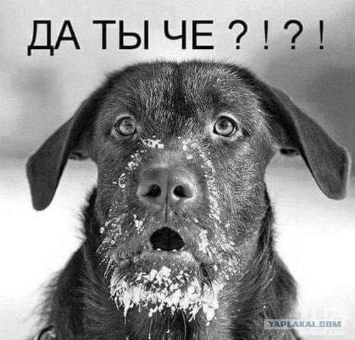 Лавров заявил о случаях ксенофобии в отношении русскоговорящих в Казахстане