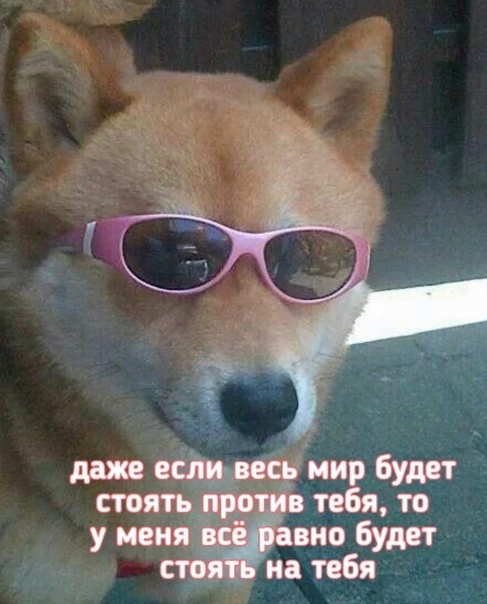 Весёлый полтишок 16.11