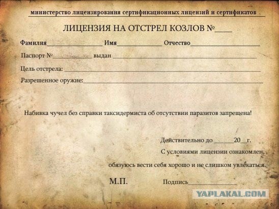 Налет. Шарафджон, Хасанджон и Муродали задержаны