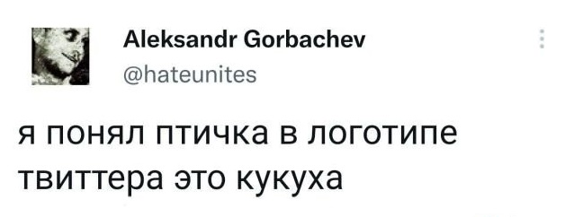 Забавные шутки, фразы, картинки из этих ваших интернетов
