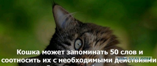 Прикольные и просто красивые картинки 27.04.2022
