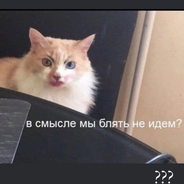 Картинки и мемы для настроения - 27