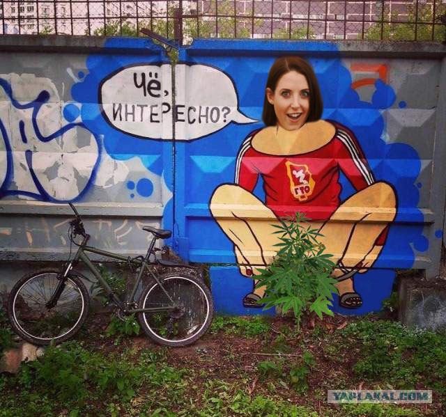 Фотожаба "Баба ягодка опять"