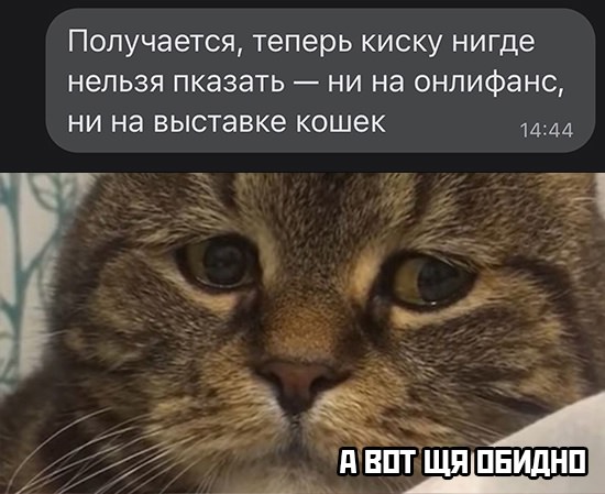 Картинки и мемы для настроения - 009