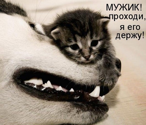Прикольные и просто красивые картинки 18.11.2022