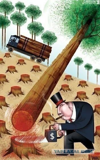 Картинки хз