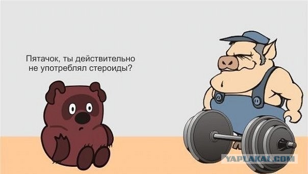 "Кто ты, тварь", сборник мемов про качков
