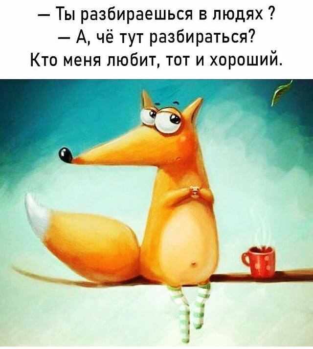 Приколы, они же и баяны